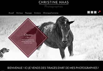 Vente en ligne Photographies